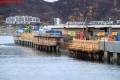 Bodø: Baustelle des neuen Dampfschiffskais, 2015